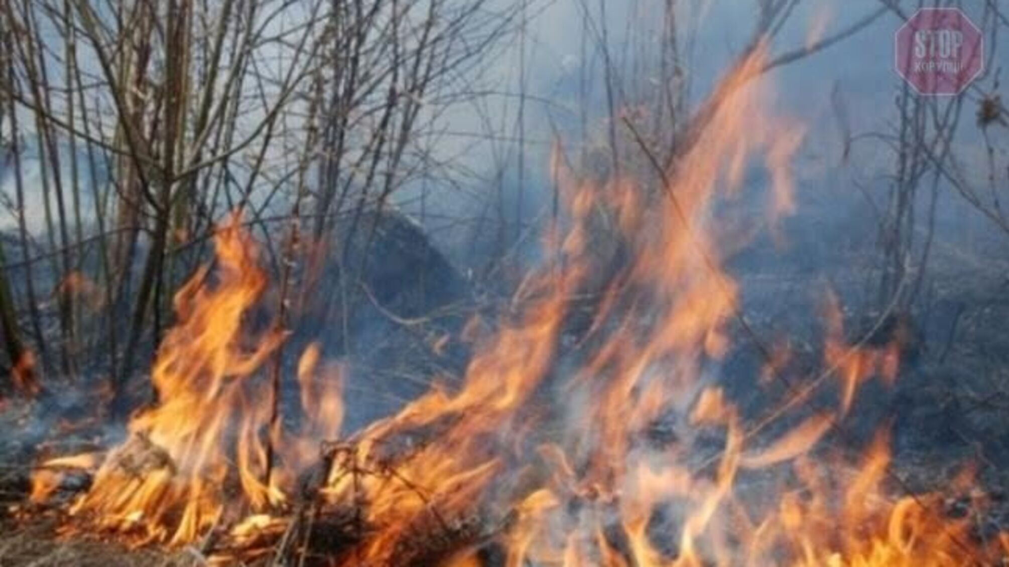 Згоріла живцем: на Львівщині загинула жінка, яка палила суху траву