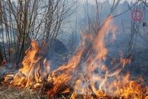Згоріла живцем: на Львівщині загинула жінка, яка палила суху траву
