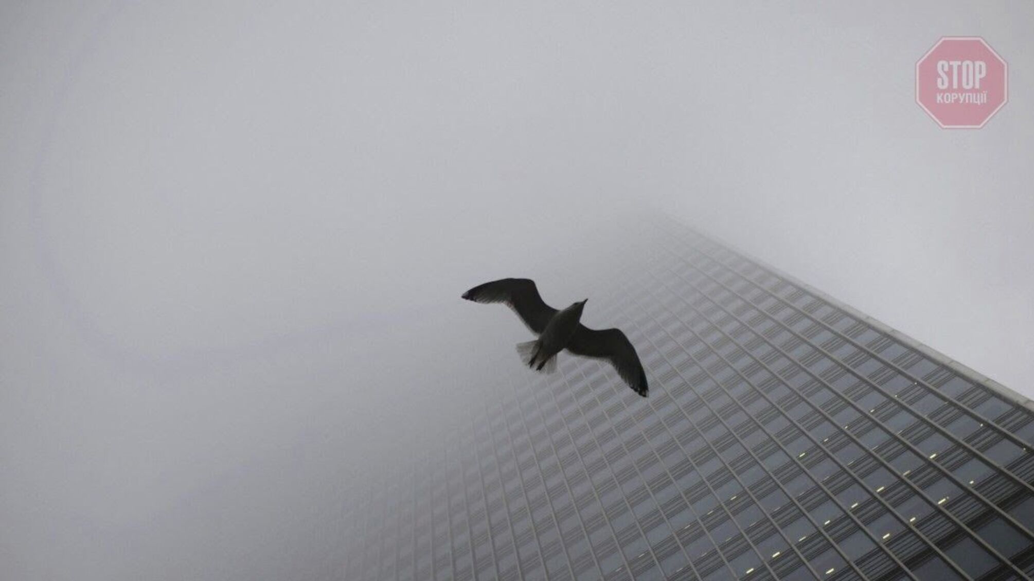 “Краще виїхати за місто”, – еколог розповів, що за туман накрив Україну