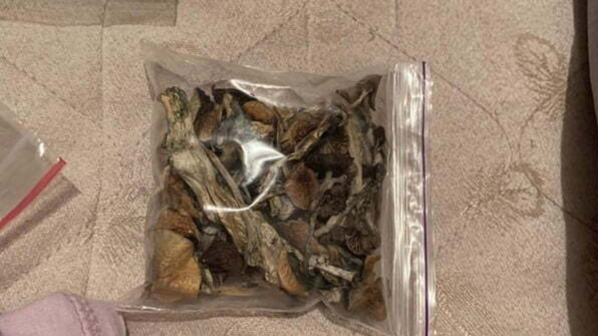 Робота для підлітків: в Ужгороді заарештували неповнолітніх «закладників» наркотиків (фото)