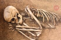 Скелетований труп: у лісосмузі на Буковині виявили рештки невідомого чоловіка