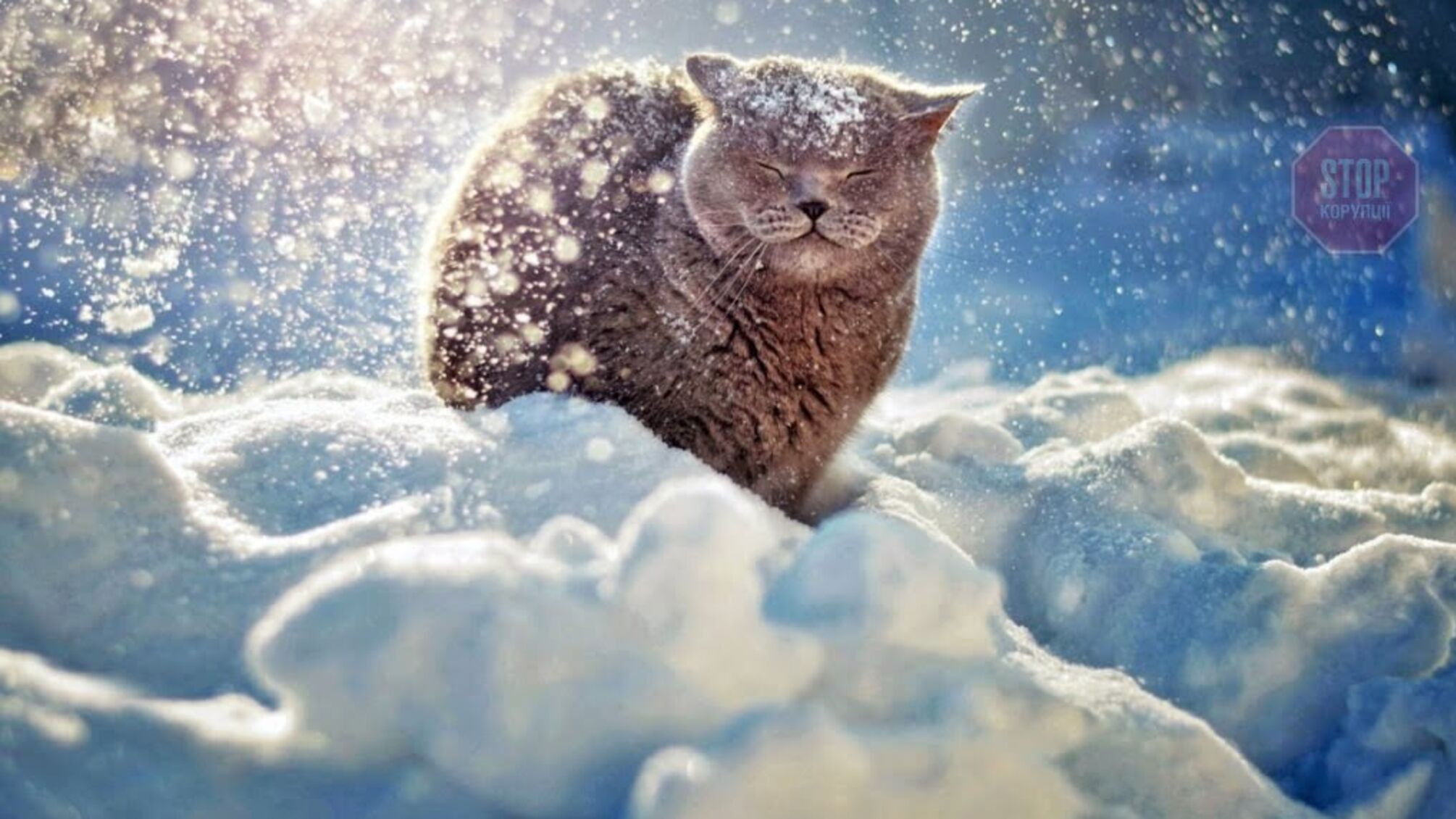 Зима в Україні стане коротшою на цілий місяць: песимістичний прогноз