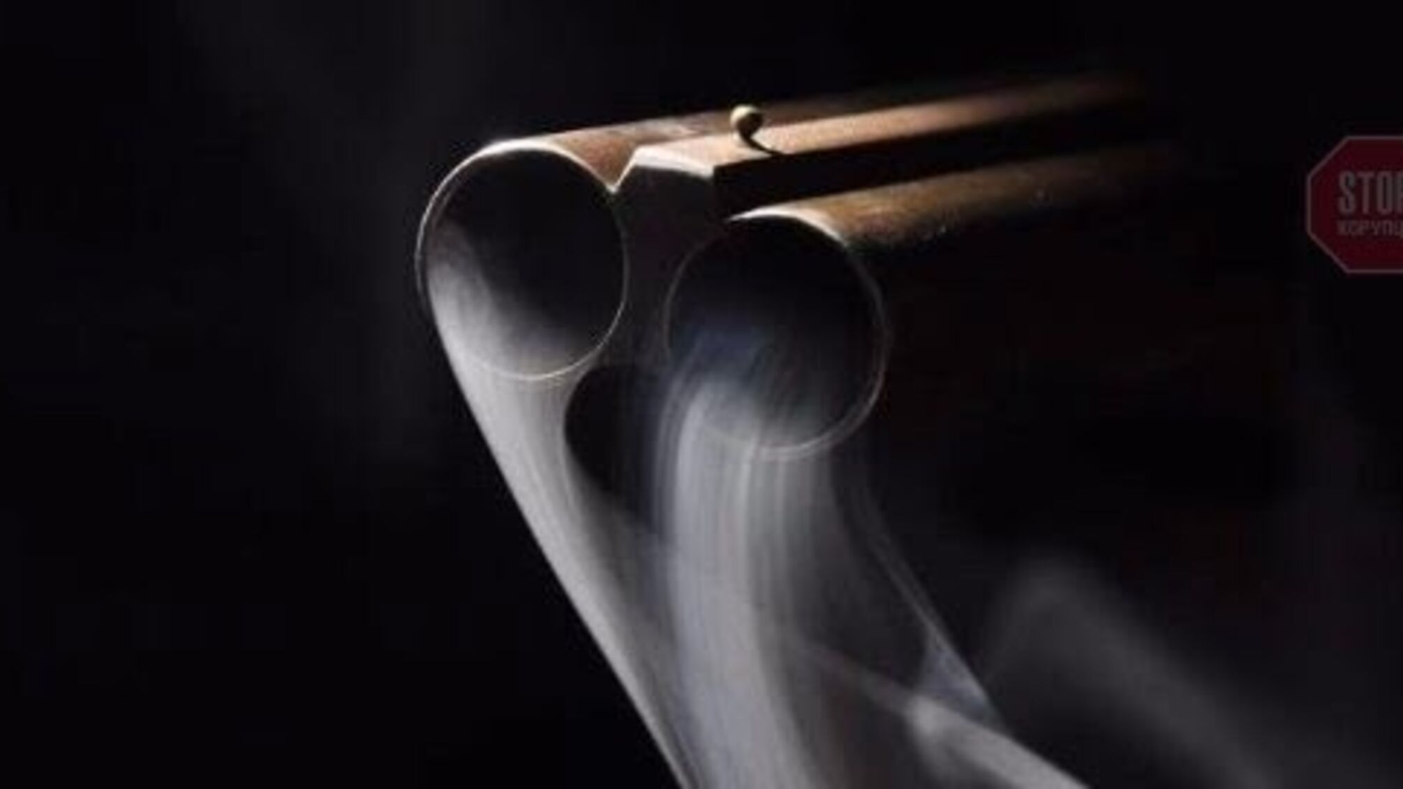 На Миколаївщині хлопчик вистрілив у однокласника з гвинтівки (фото)