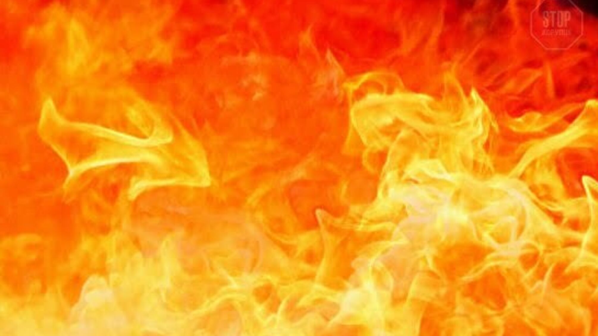 Вибух мікроавтобуса на Дніпропетровщині: поліція ніяк не коментує