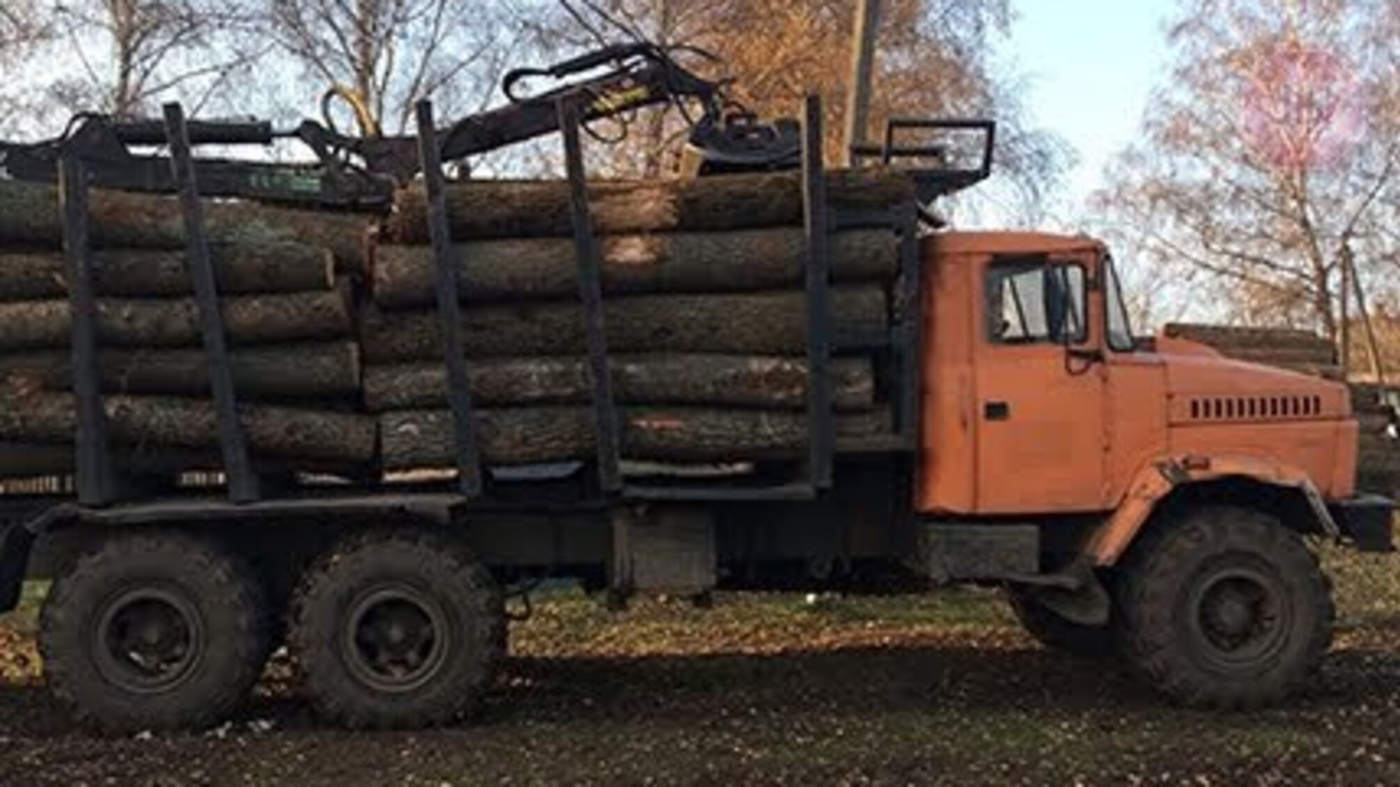 На Харківщині чиновників підозрюють в незаконній вирубці понад 18 тисяч дерев (фото)