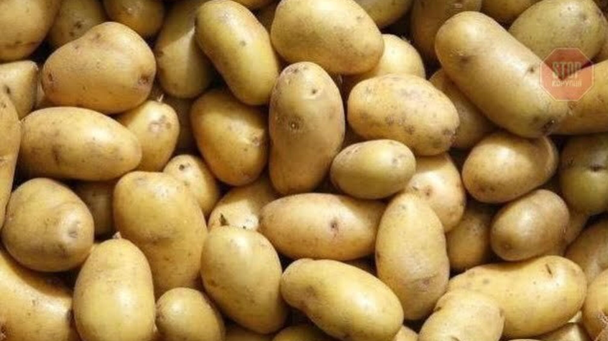 20 тонн картоплі з країни-агресора не пустили в Україну: подробиці