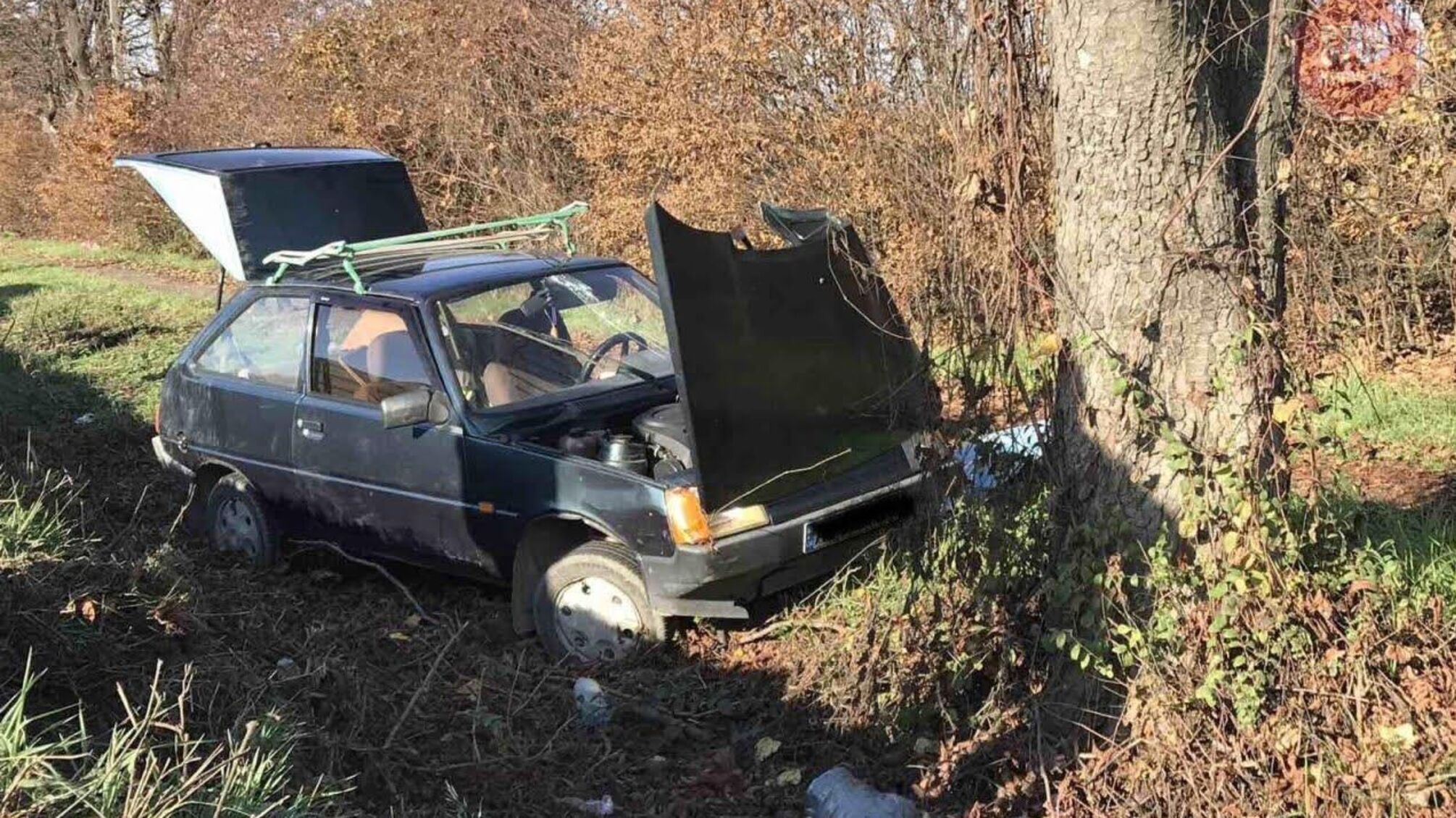 На Закарпатті сталася смертельна ДТП – загинув водій (фото)