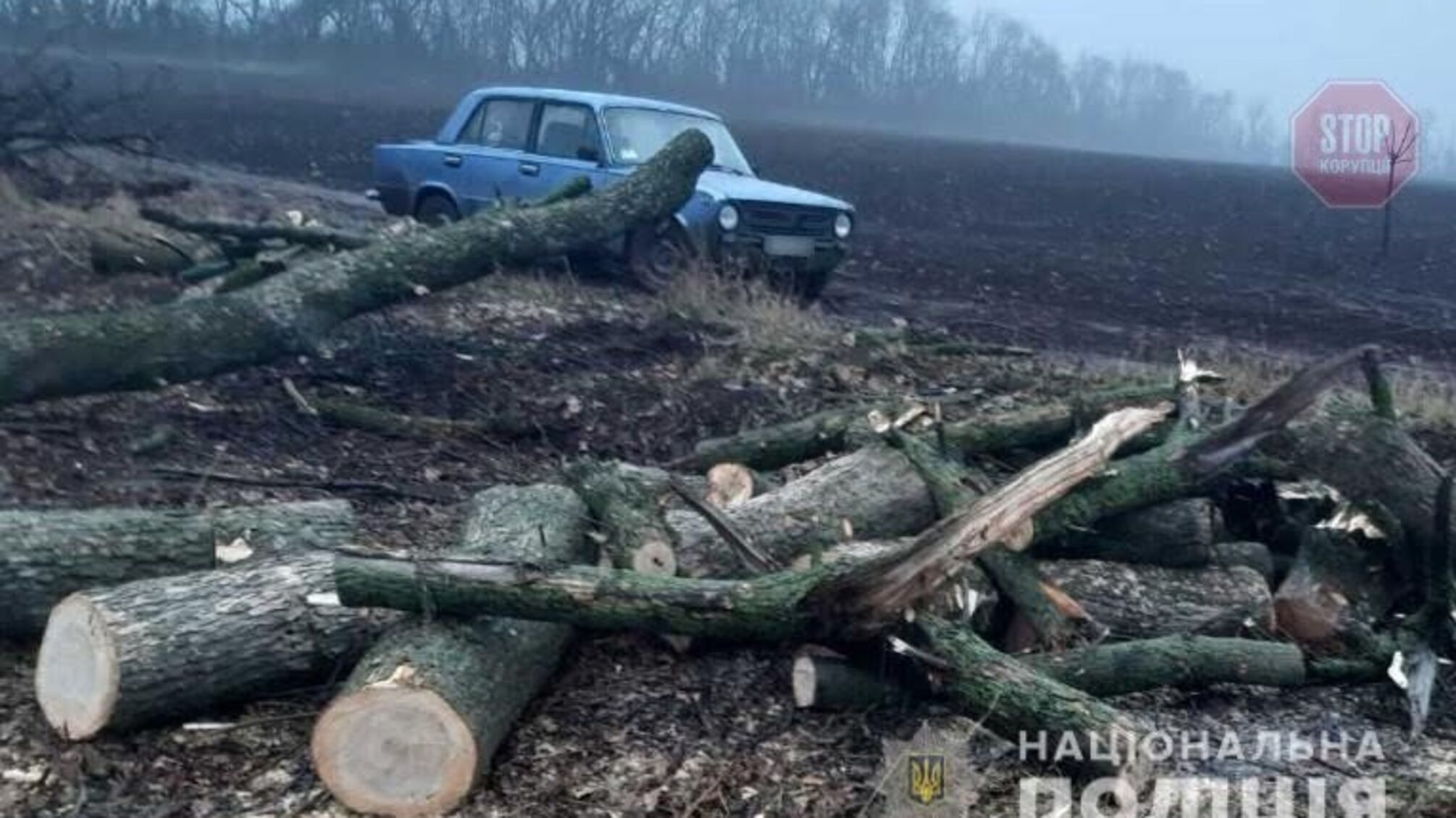 “Чорні лісоруби” Черкащини: поліція виявила злочинну групу, яка незаконно вирубувала деревину (фото)