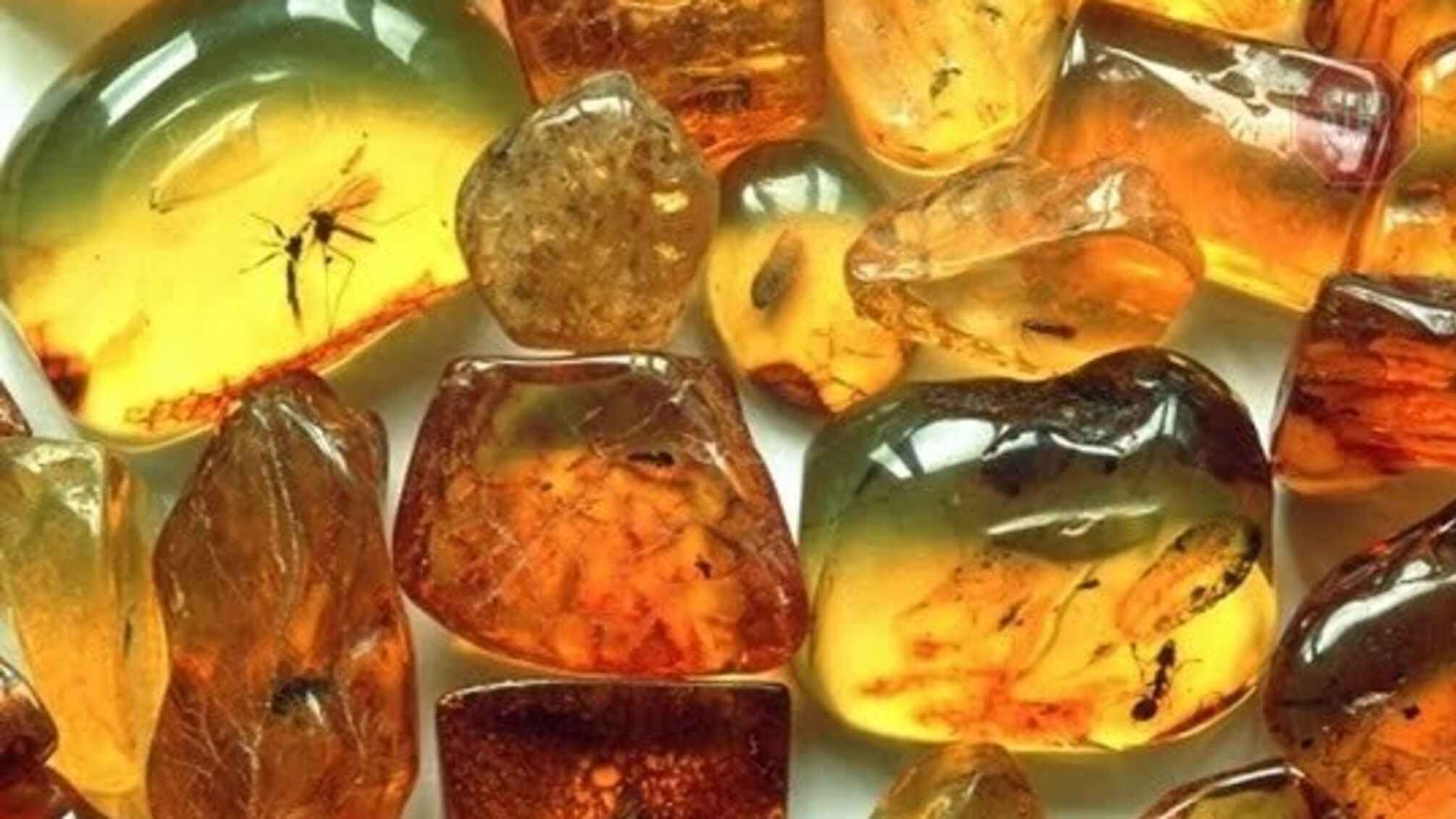 На кордоні бурштинові нелегали намагалися незаконно переправити 270 кг “жовтого каміння”