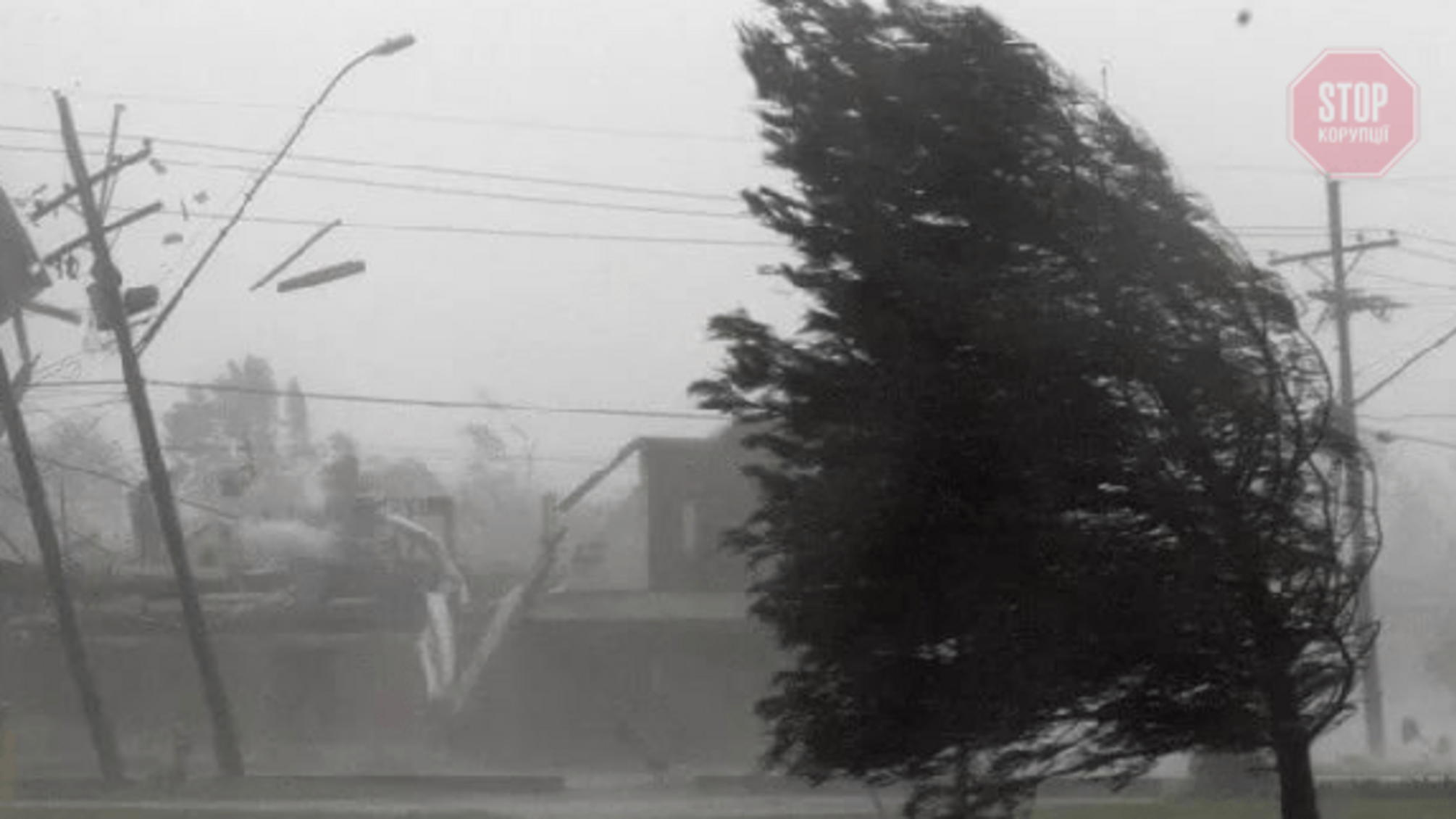 14 листопада, Україну накриє шквальний вітер