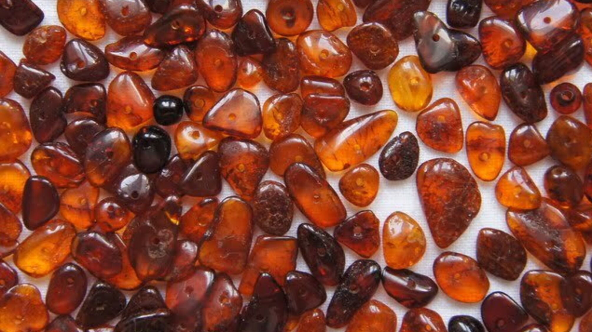 Бурштинова мафія знайшла 'крайніх': хто винен у кримінальному провадженні проти незаконних копачів