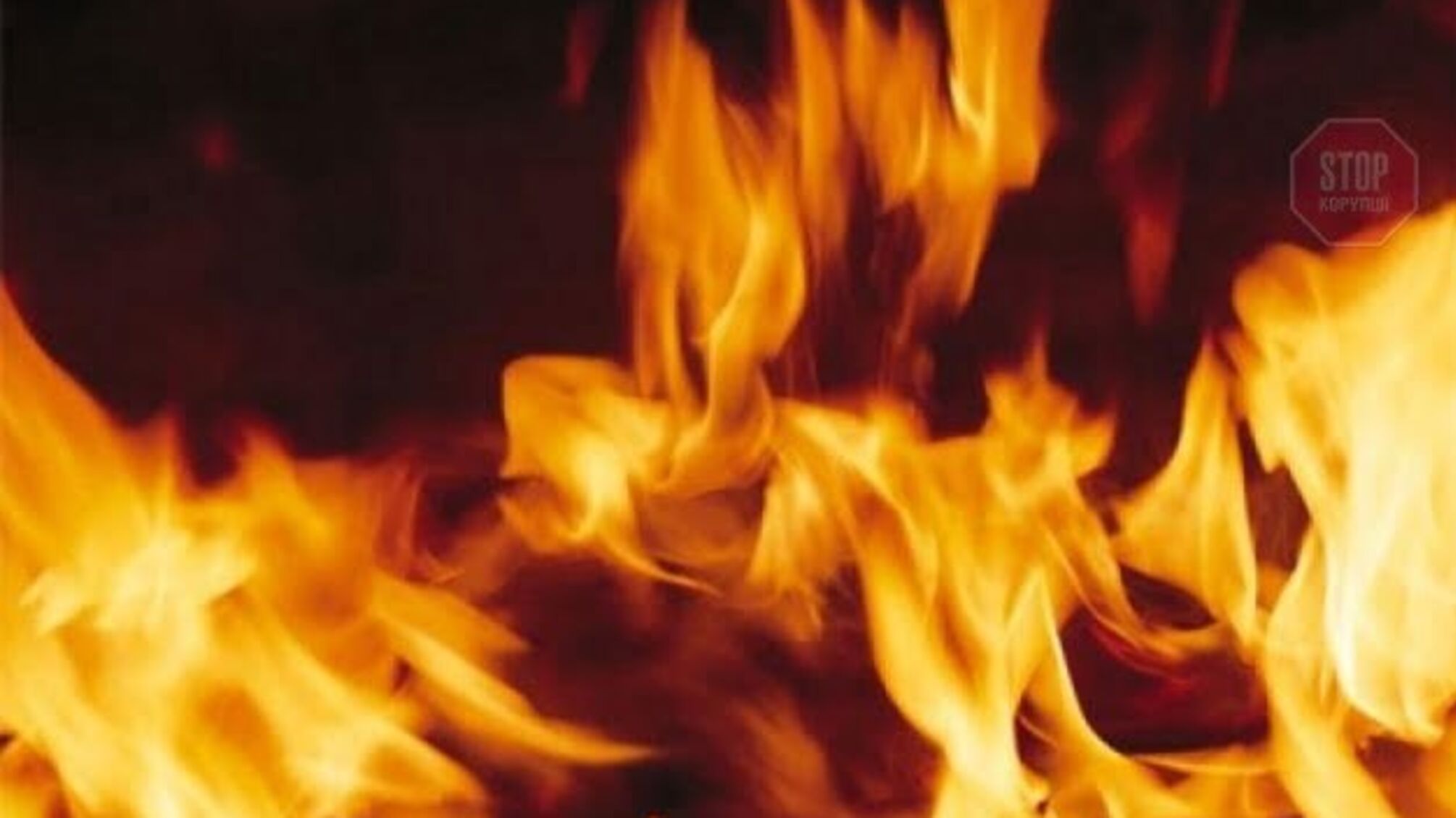 На Львівщині автівка згоріла вщент (фото)