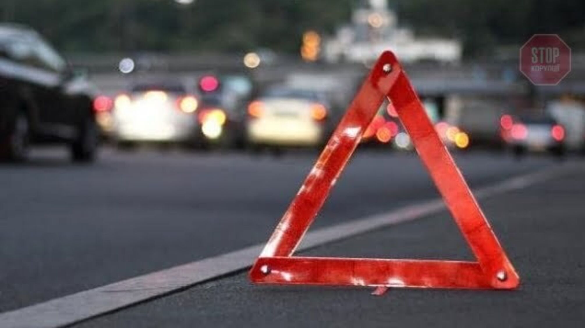 Збив хлопця та намагався зникнути: у Запоріжжі затримали водія маршрутки (фото)