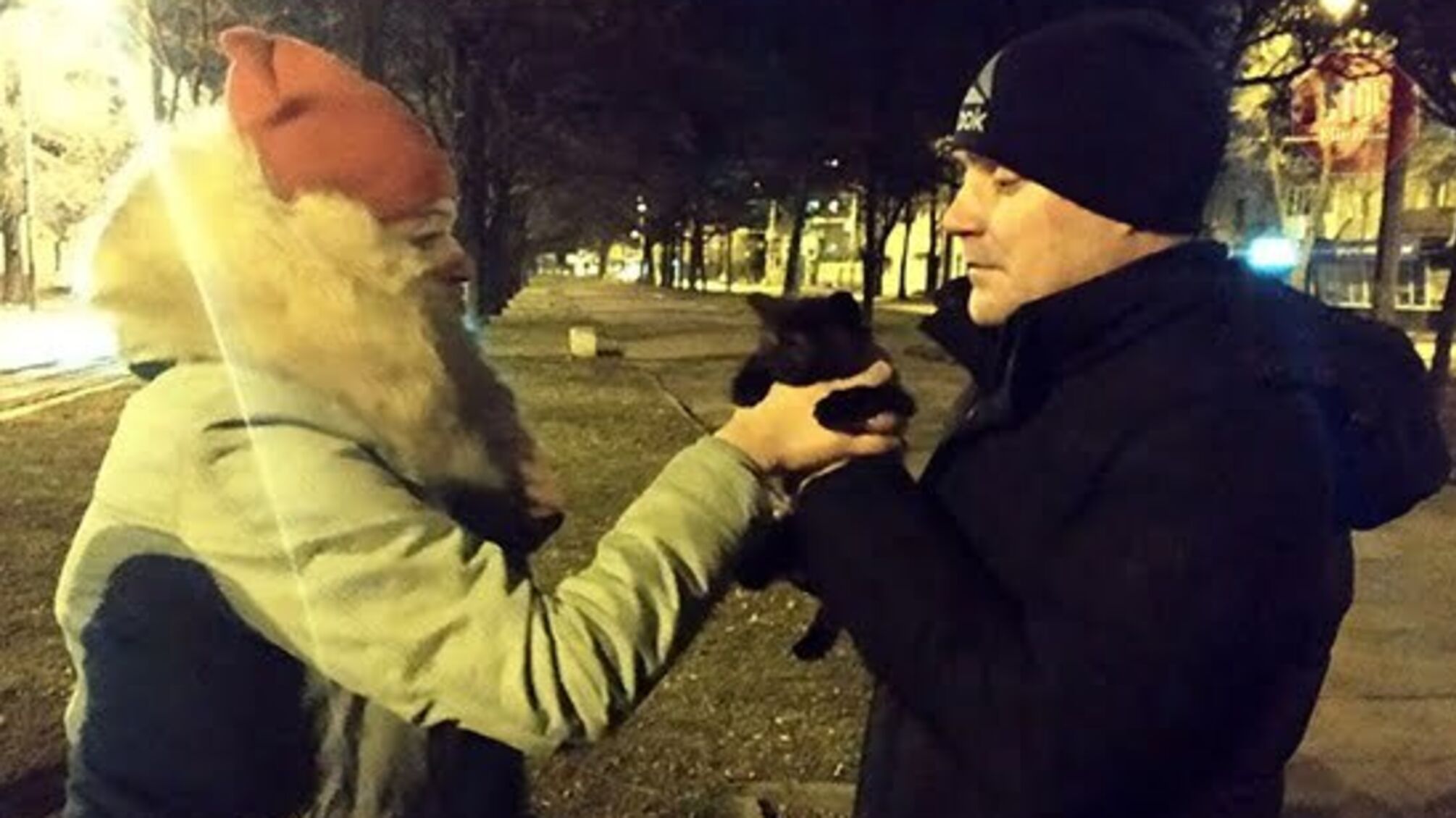 У Дніпрі 5 рятувальників знімали кота з дерева (фото)