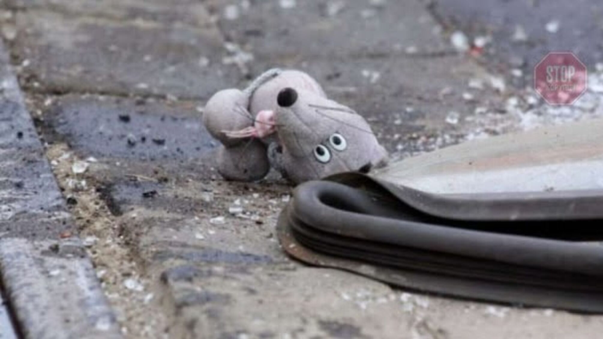 Резонансна ДТП на Одещині: двоє дітей у важкому стані