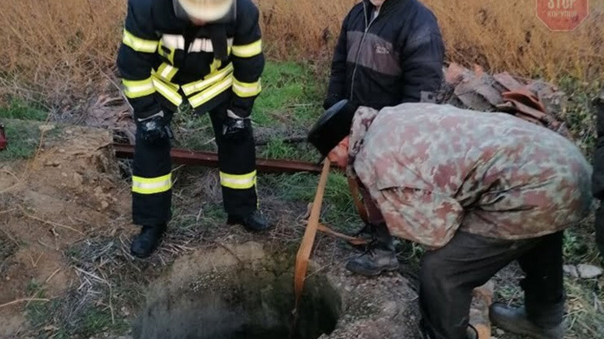 У Нікопольському районі з колодязя витягли корову