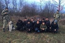 Курйозний злочин: українець намагався перевезти іноземців через кордон, видаючи їх за тварин