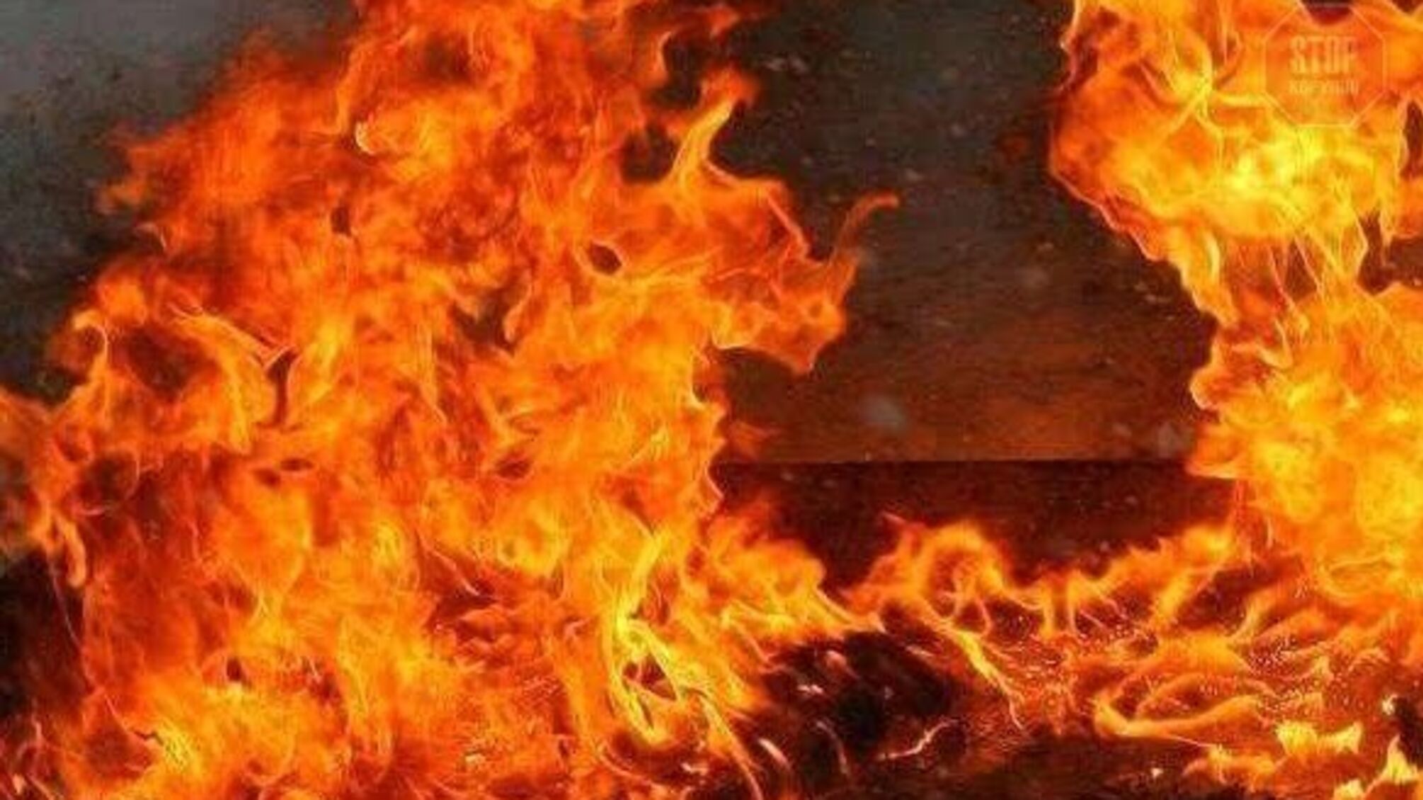 Пожежа на Дніпропетровщині: постраждала жінка (фото)