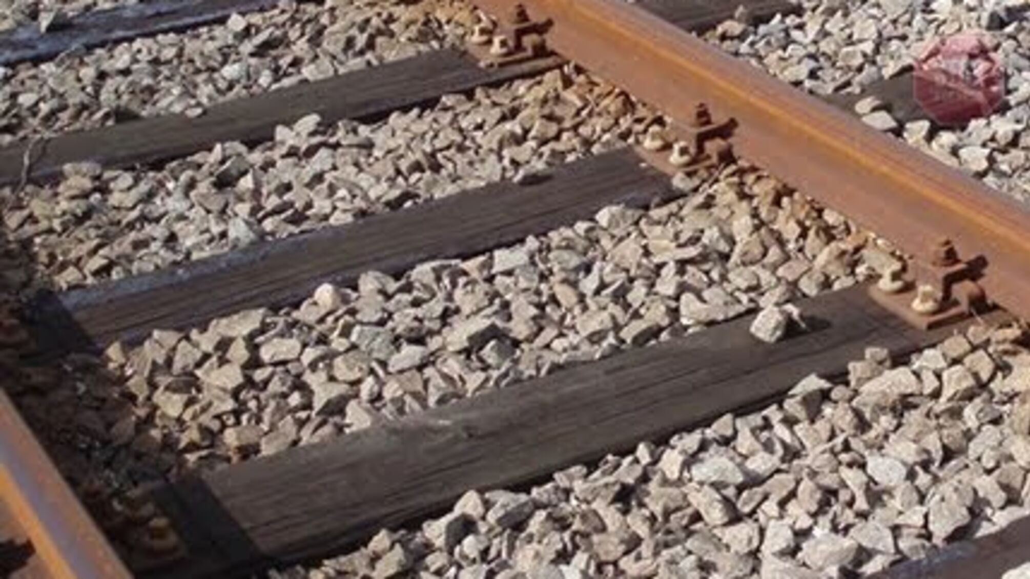 На Тернопільщині потяг збив жінку (фото 18+)