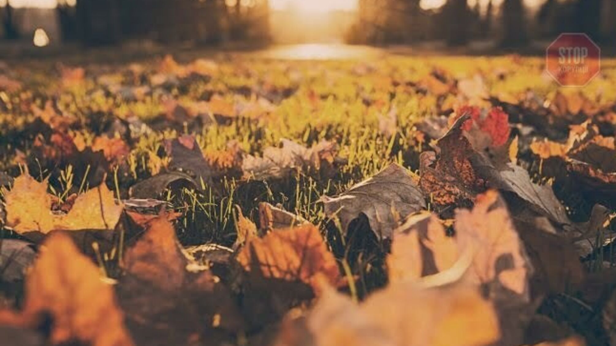 'На опади поки що рано очікувати', – синоптик про погоду на найближчий тиждень