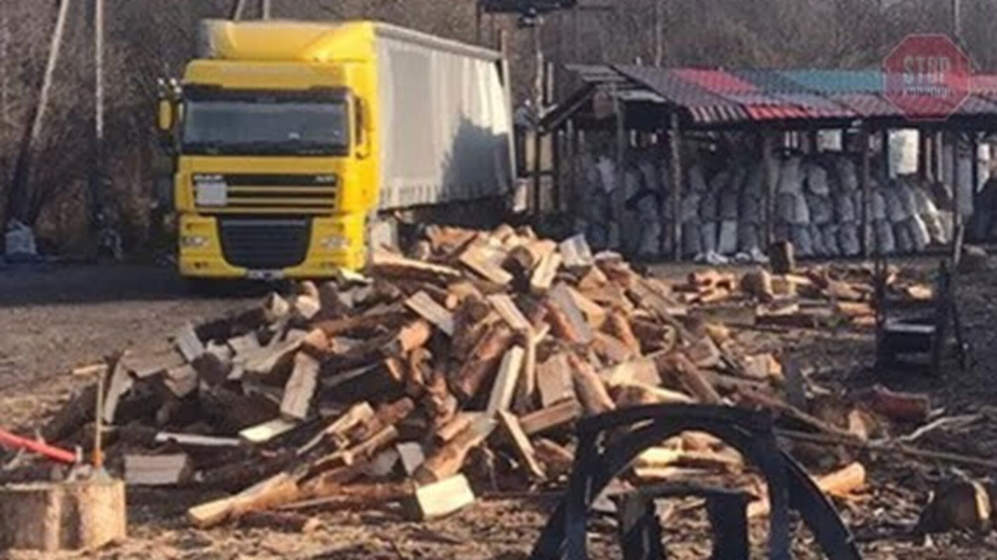 На Житомирщині викрито розкрадання та нелегальний експорт деревини (фото)