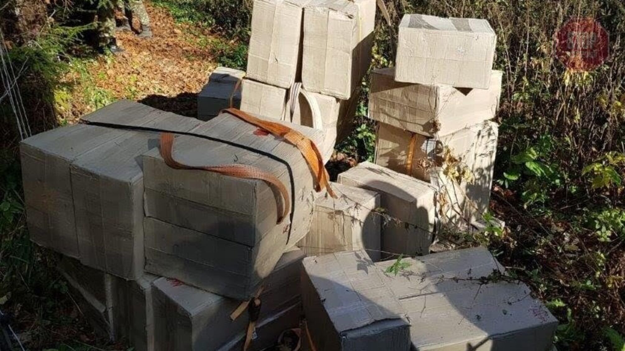 Друг людини: на Буковині прикордонний службовий пес виявив контрабандиста