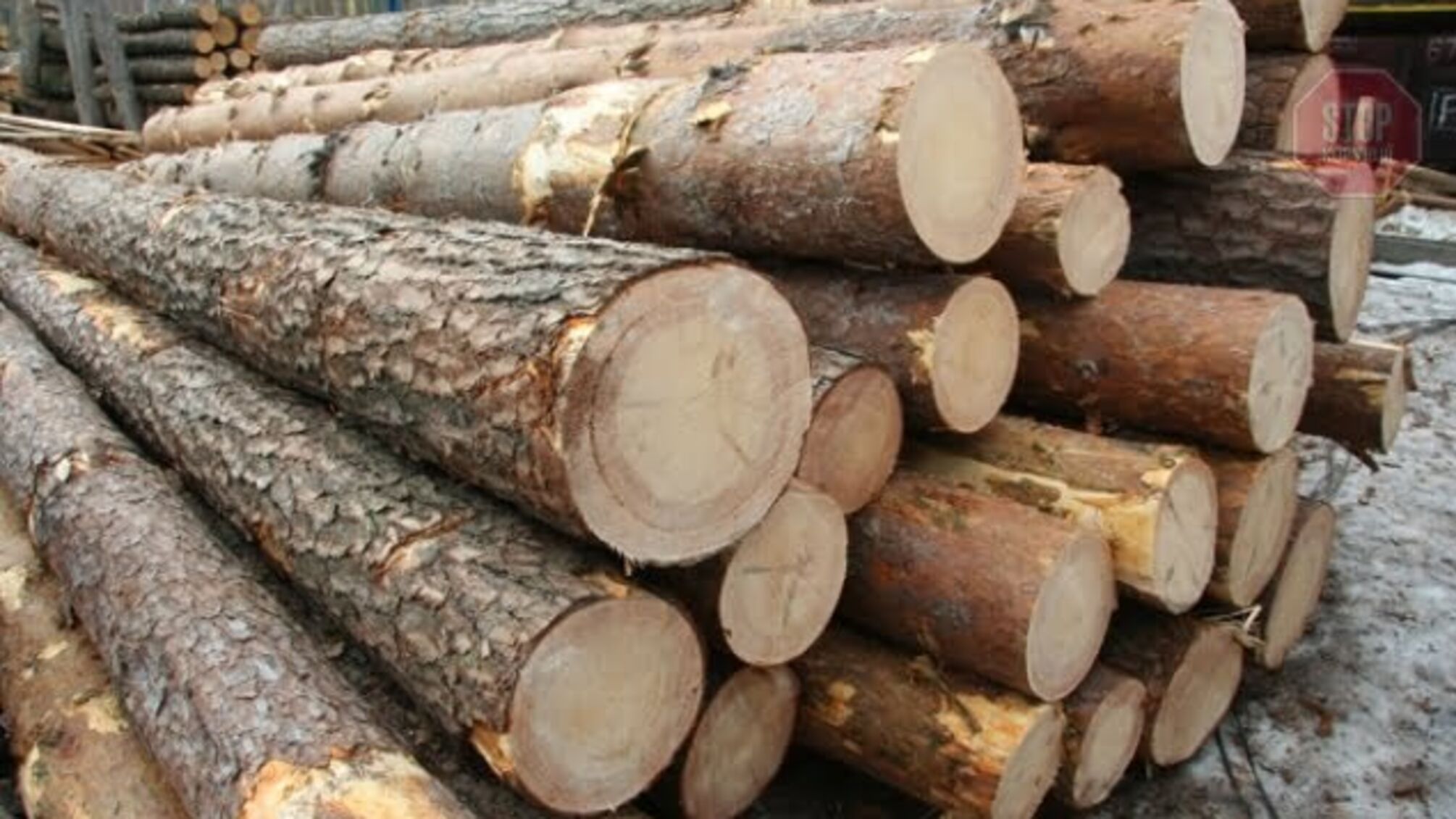На Львівщині дерев'яна колода вбила чоловіка
