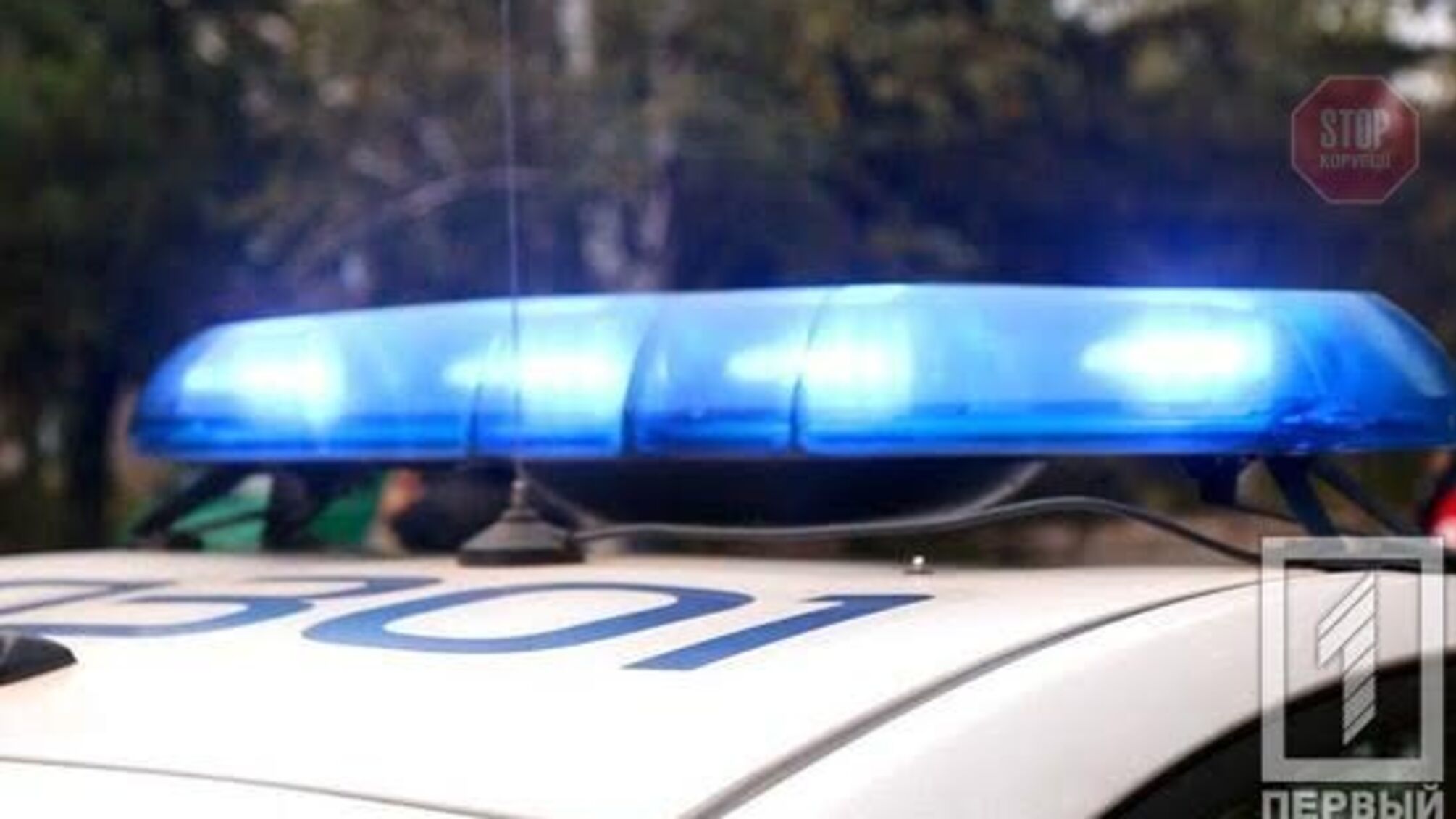 Хотів врятувати тварину: ДТП із собакою на Дніпропетровщині