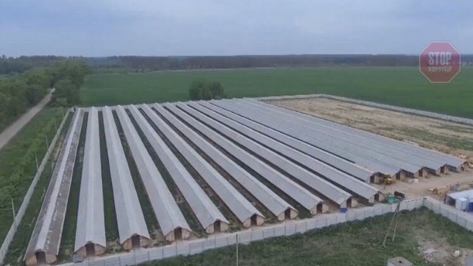 На Житомирщині закрили нелегальну норкову ферму: втрутились громадські активісти