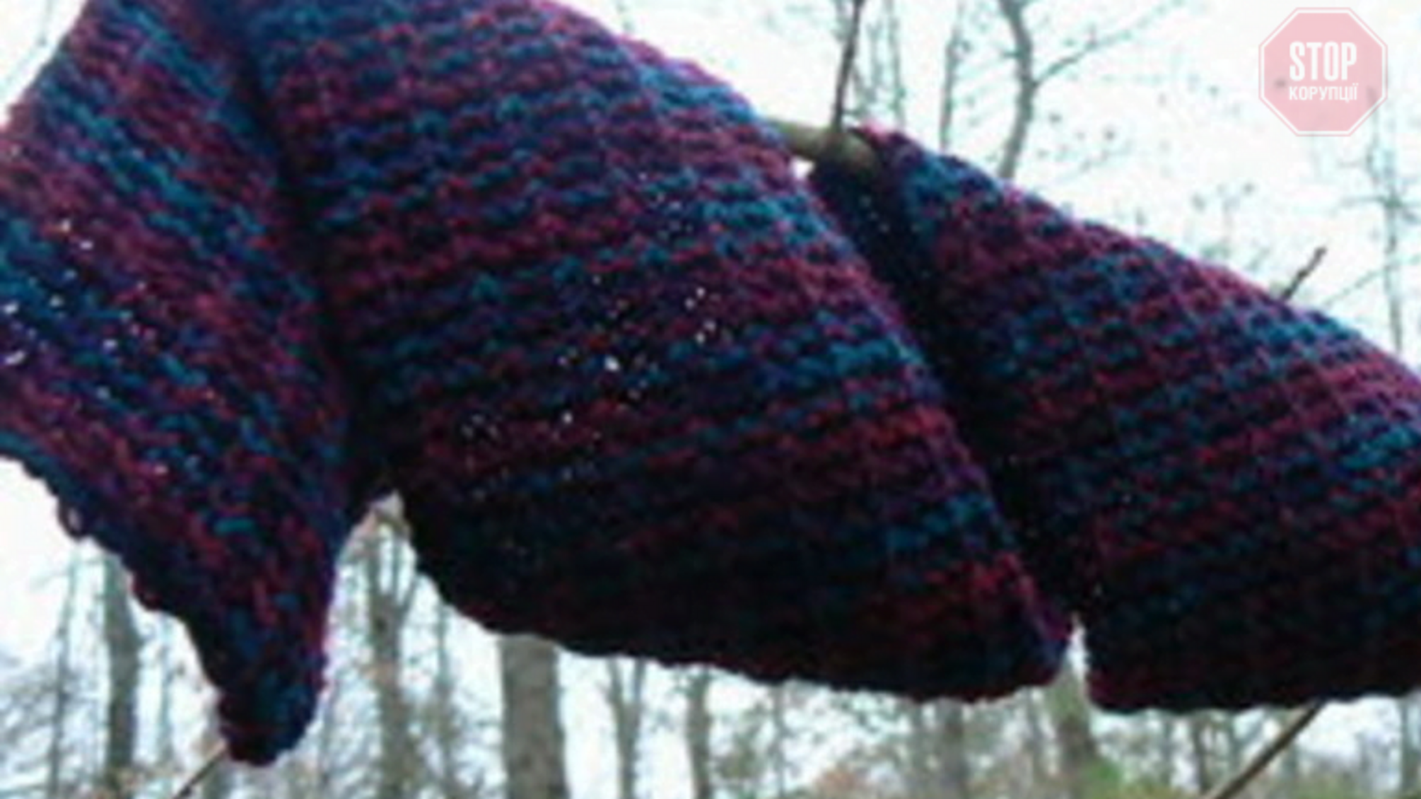 У Запорізькій області дівчина повісилася на власному шарфі