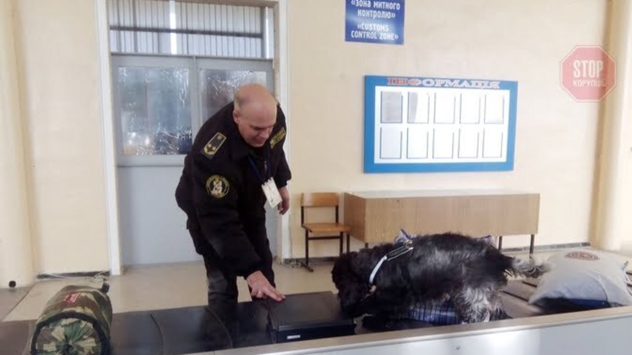 У запорізькому аеропорту собака 'унюхав' незадекларовану валюту (фото)