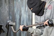Розкрадали гаражі: на Полтавщині поліцейські затримали викрадачів металу