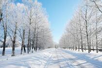 Похолодання до мінус 15 і сніг: синоптик прогнозує неочікувану погоду