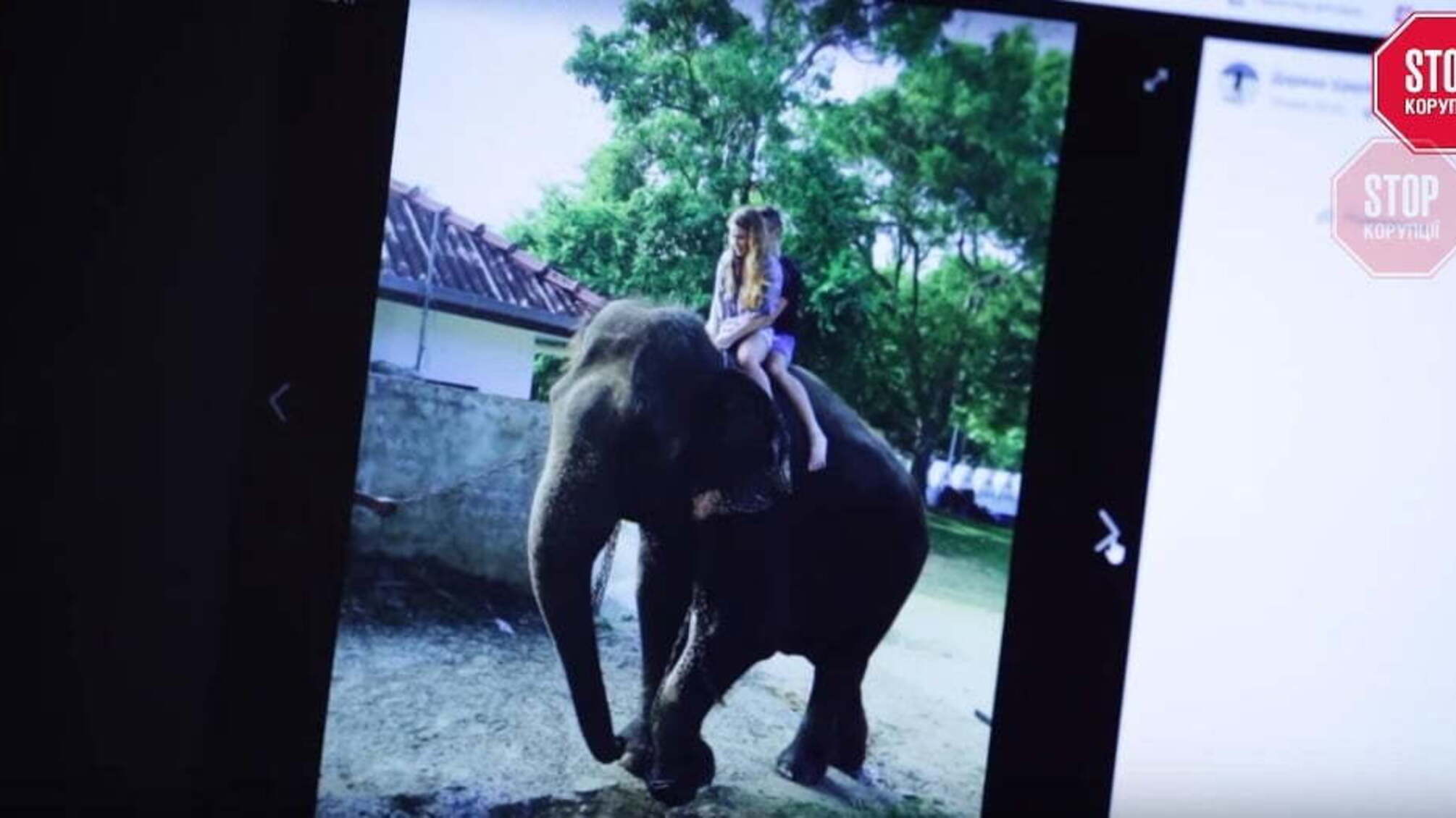 Кар’єра, лакшері-одяг, прогулянки на слоні: як склалась доля 'мажорів' з фейковим ЗНО