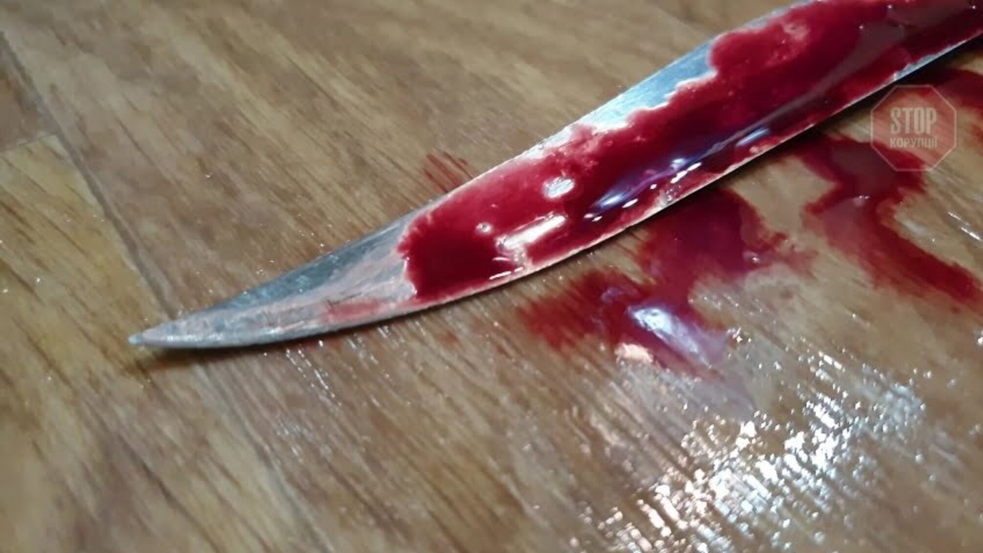 Жорстоко вбив свого друга, а потім відрізав йому голову: в Запоріжжі суд виніс вирок вбивці