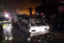 На Буковині безпритульний спалив 3 авітвки і пошкодив ще 28