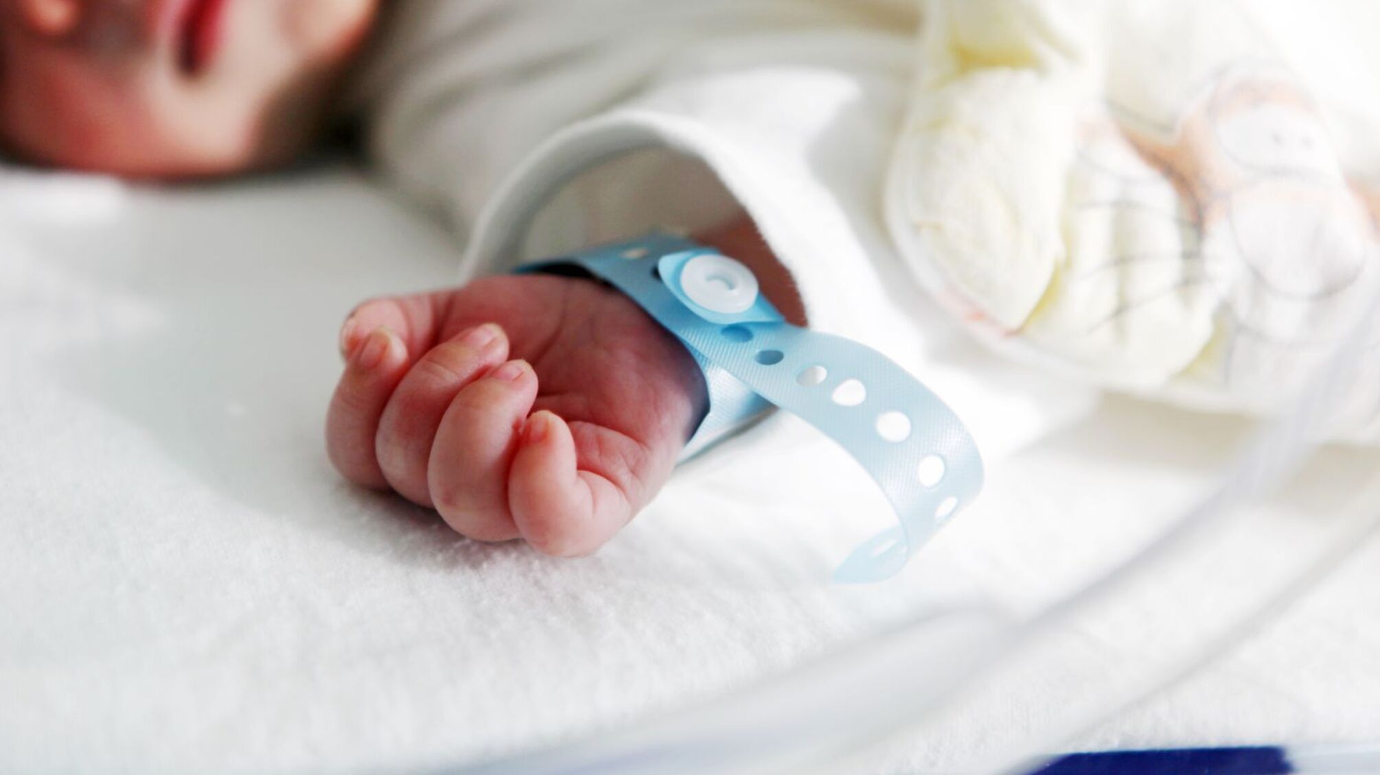 Правоохоронці викрили масштабну схему продажу українських немовлят до Китаю