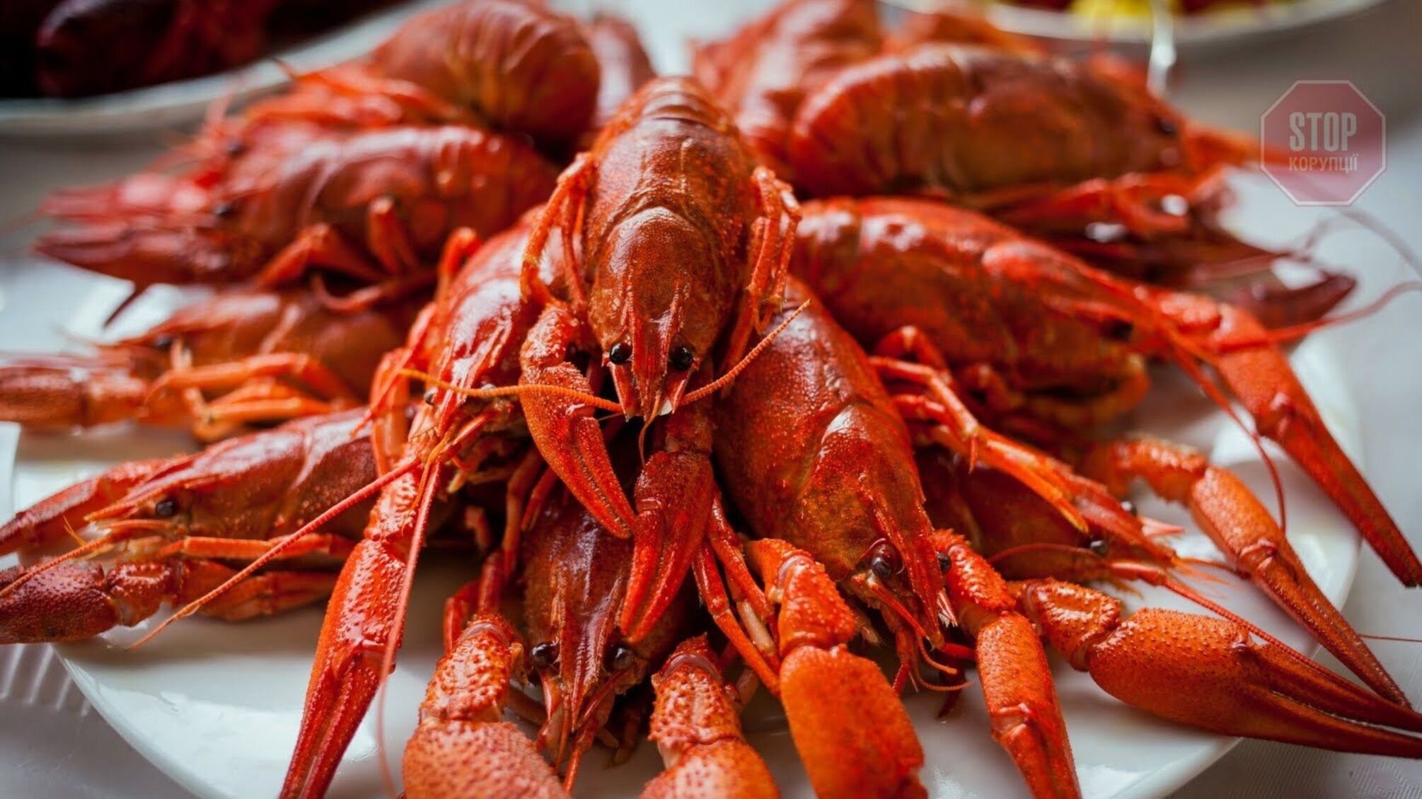 Депутати Житомирщини витратять 17 мільйонів з обласного бюджету на вирощування раків