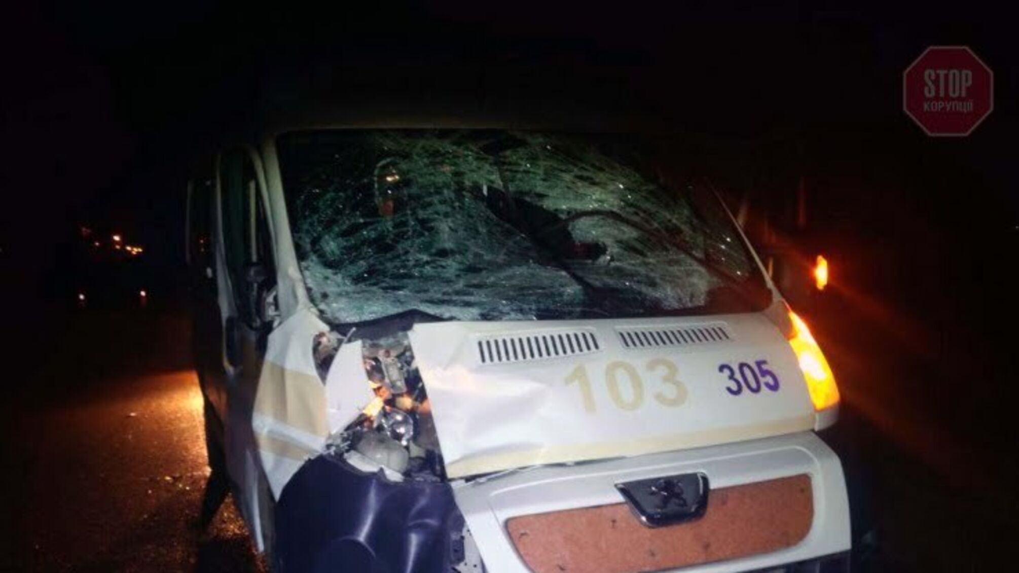 У Запоріжжі під колесами 'шкидкої' загинув кінь (фото)