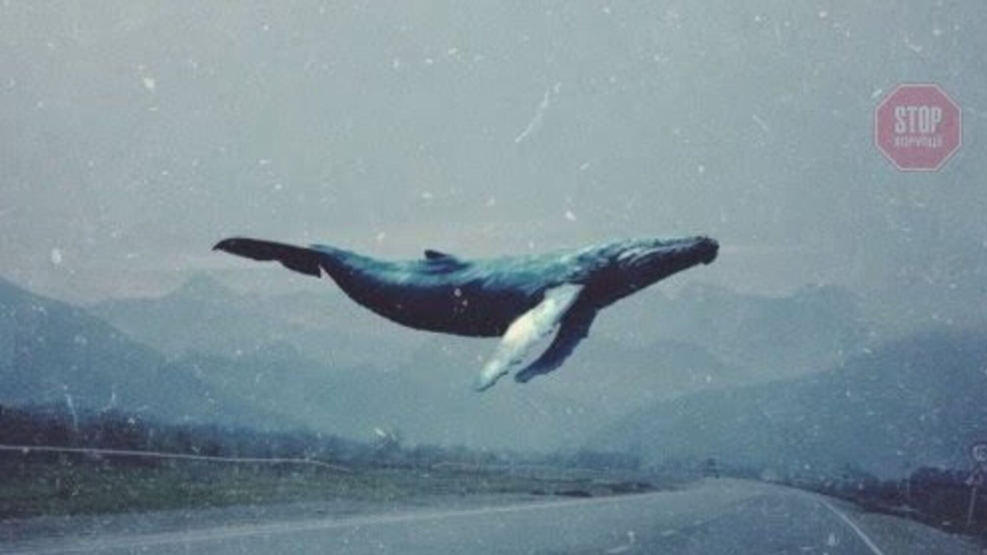 Я у грі: на Миколаївщині дівчинка мало не довела однокласницю до самогубства