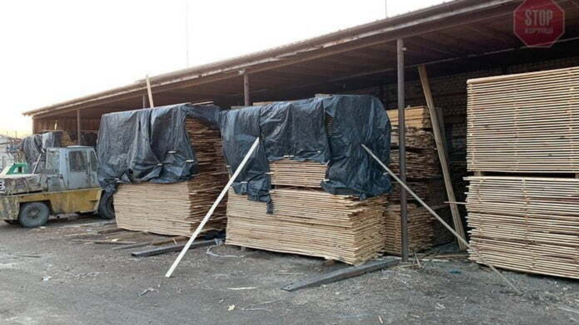На Житомирщині СБУ ліквідувала незаконне перевезення деревини до Азії