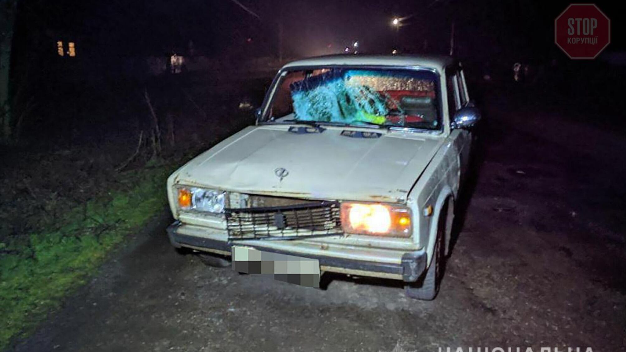 Смертельна ДТП на Запоріжжі: загинув 20-річний юнак (фото)