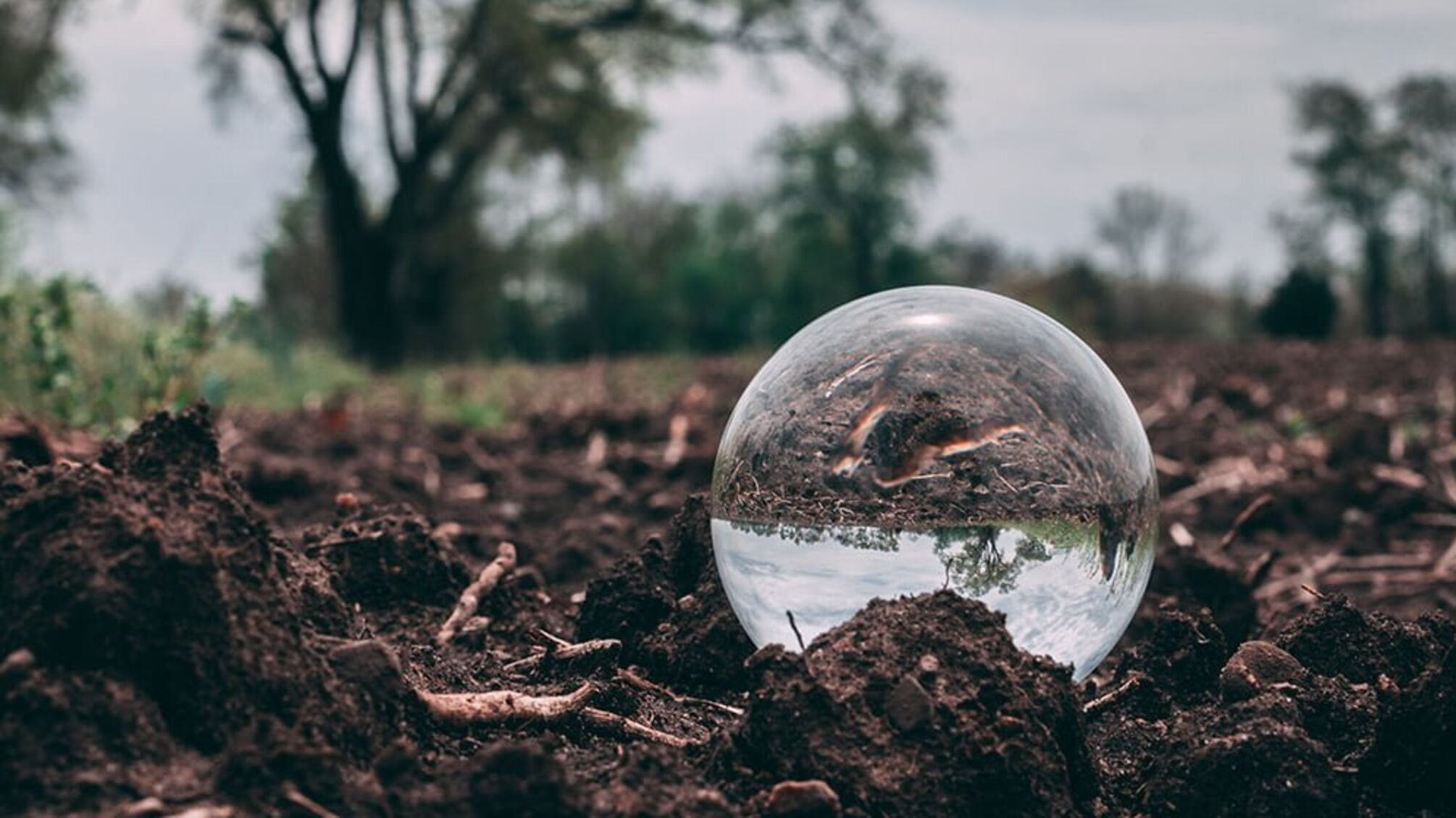 Апокаліпсис скасовується: звернення черкаських екоактивістів виявилися фейком
