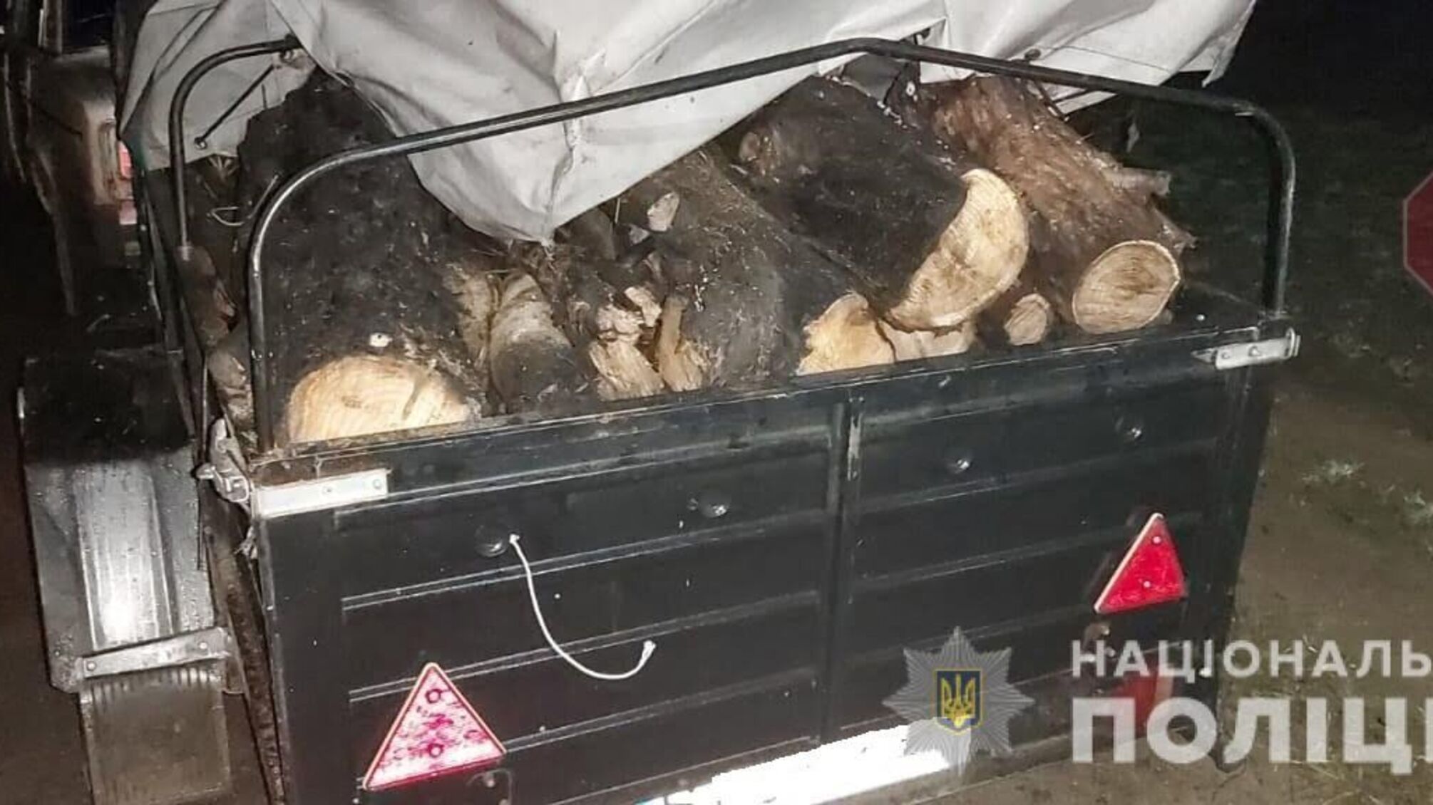 На Херсонщині виявили “чорних лісорубів”, їм загрожує строк (фото)