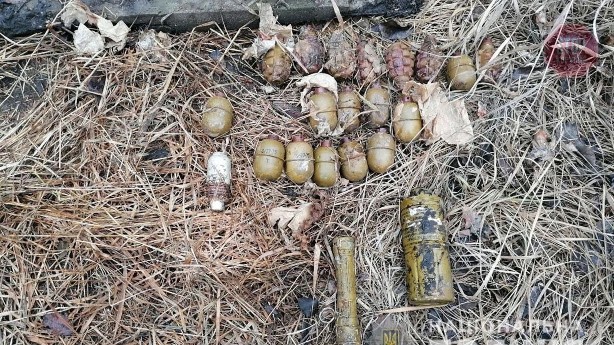 На Донеччині виявили сховані у лісосмузі боєприпаси (фото)