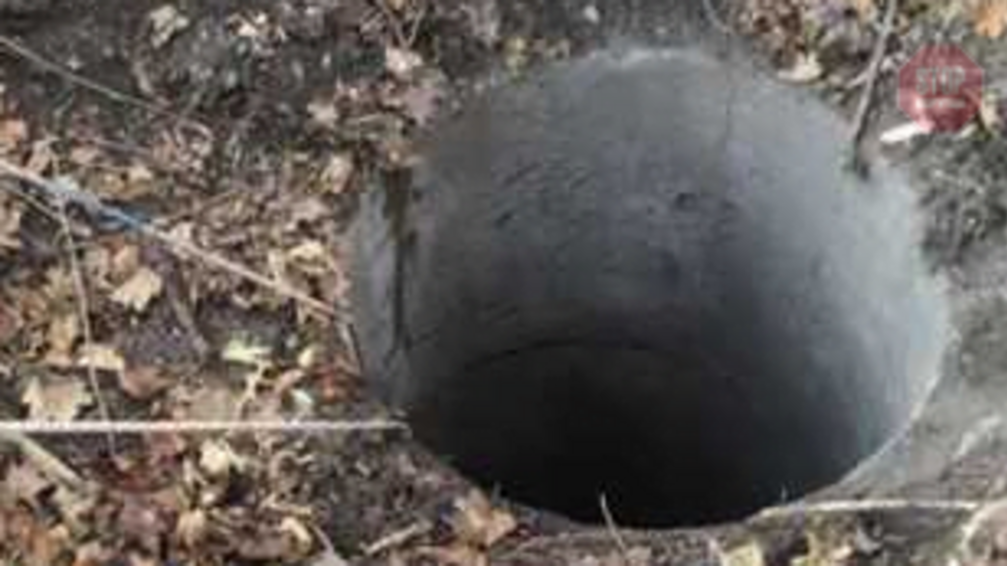 На Київщині правоохоронці затримали осіб, причетних до вбивства іноземного підприємця (фото)