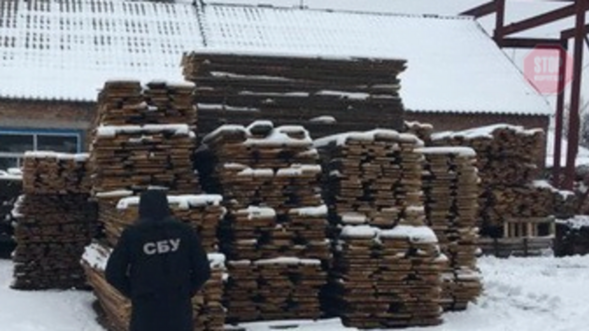 На Харківщині викрили 11 посадовців на розкраданні лісу на суму понад 5 мільйонів гривень (фото)