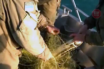 На Херсонщині прикордонники визволили з тенет червонокнижну рибу (фото, відео)