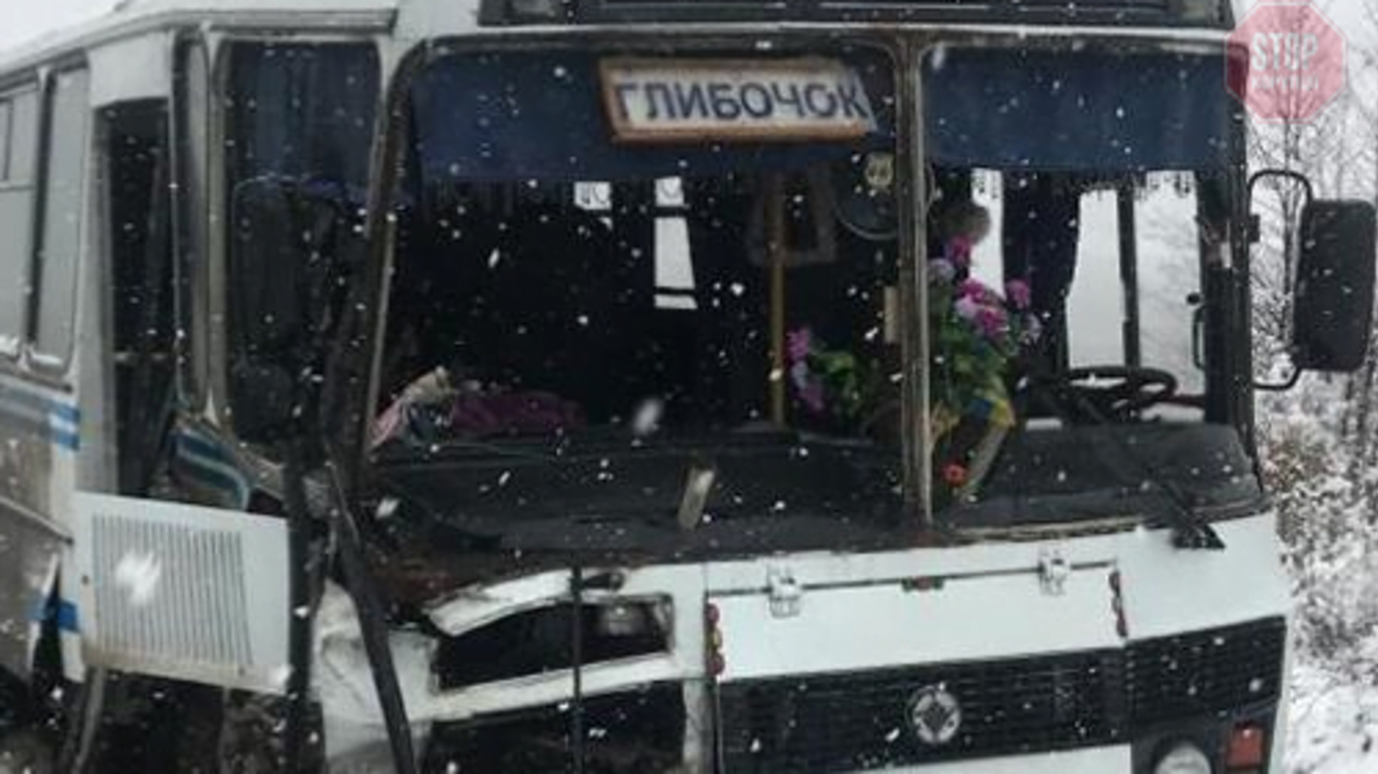 На Тернопільщині рейсовий автобус потрапив у ДТП, є жертви (фото, відео)