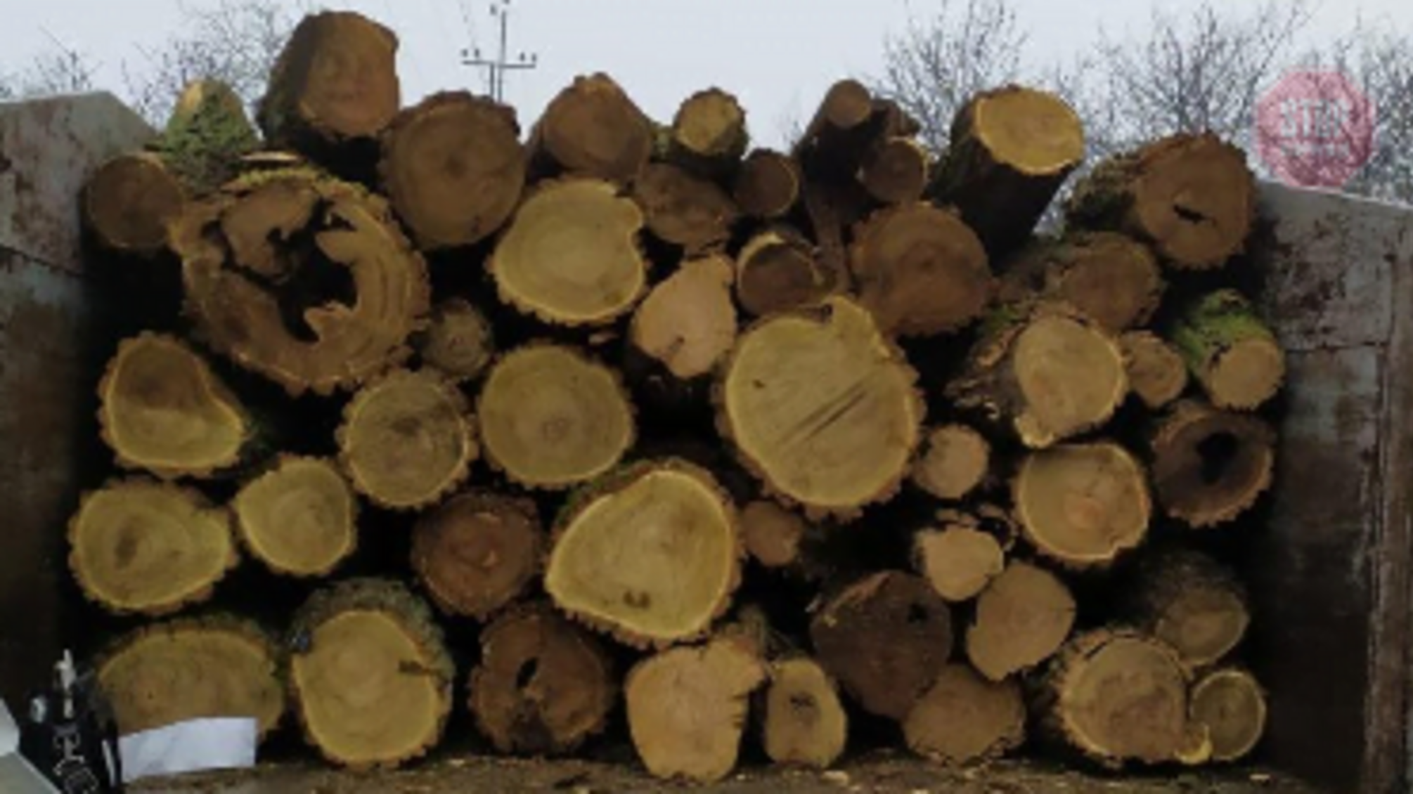 На Дніпропетровщині поліція затримала автомобіль з незаконною деревиною (фото)